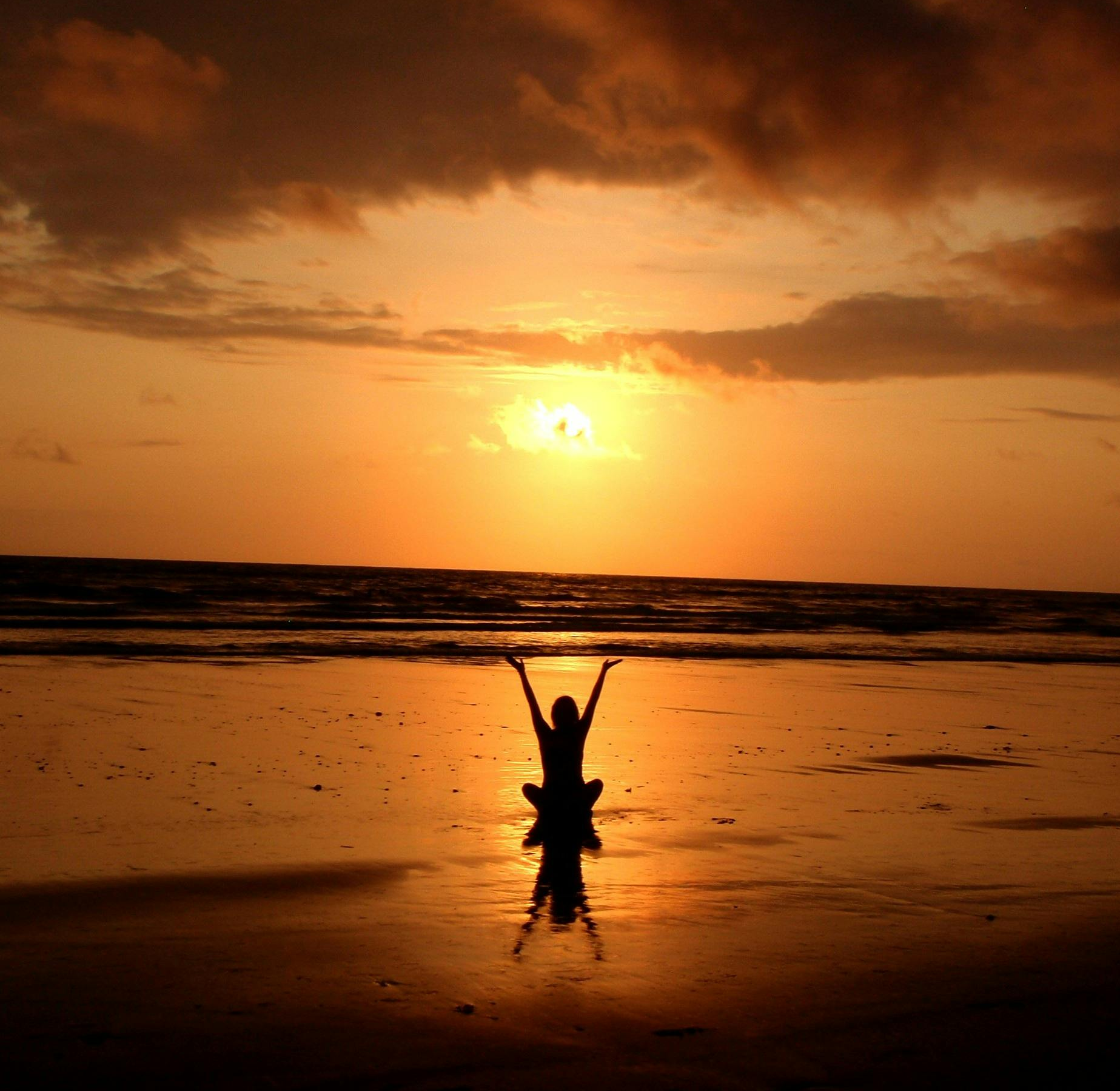 Lifestyle Medicine First icon