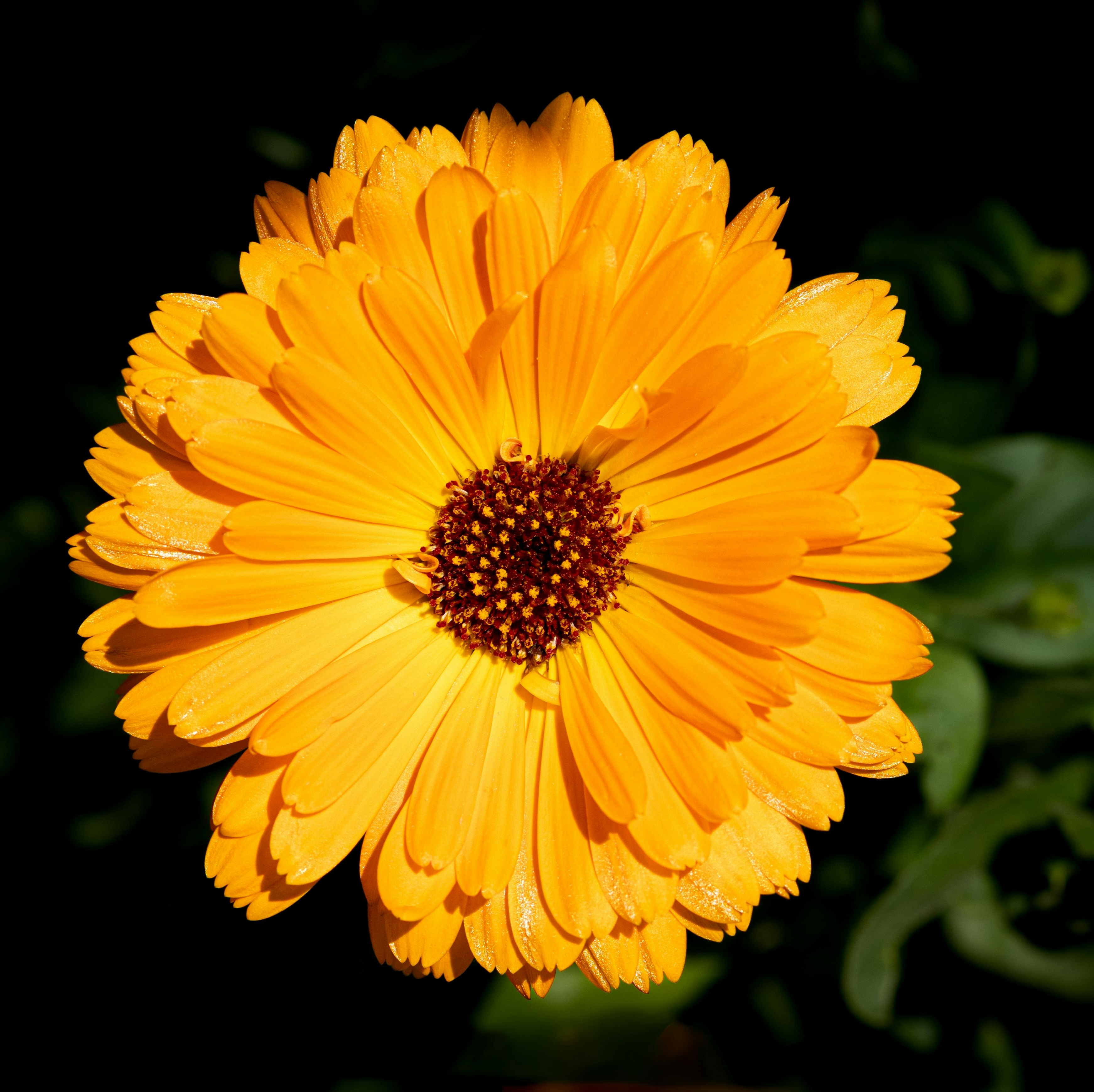 Partnership, Not Prescription icon